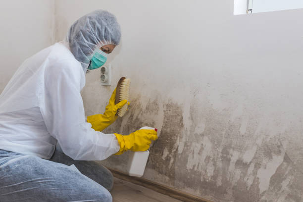 Best Post-Remediation Verification Testing  in Janesville, IA