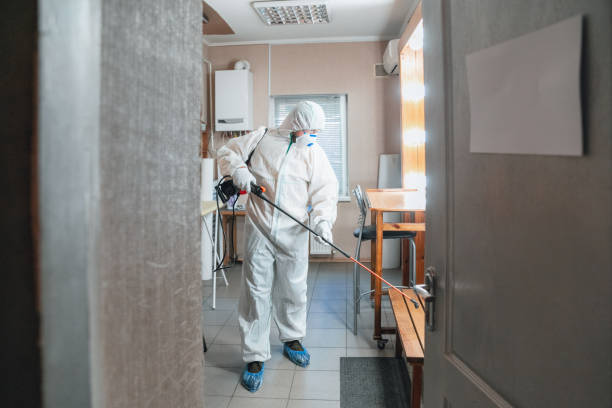 Best Water Damage & Mold Remediation  in Janesville, IA