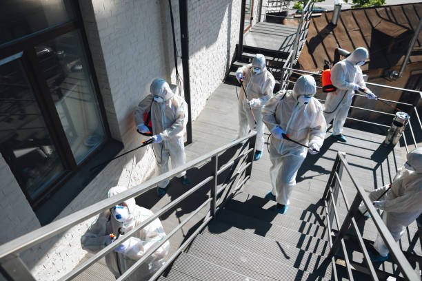 Best Industrial Mold Remediation  in Janesville, IA
