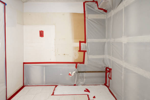 Janesville, IA Mold Removal Company