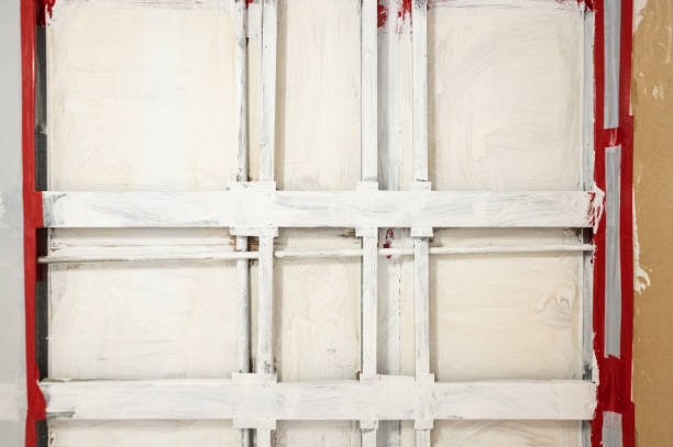 Best Mold Odor Removal Services  in Janesville, IA