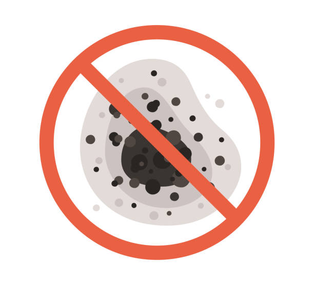 Best Residential Mold Inspection & Testing  in Janesville, IA