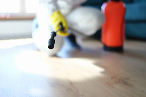  Janesville, IA Mold Removal Pros
