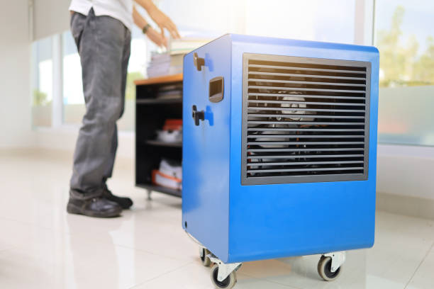 Best Mold Remediation for Healthcare Facilities  in Janesville, IA