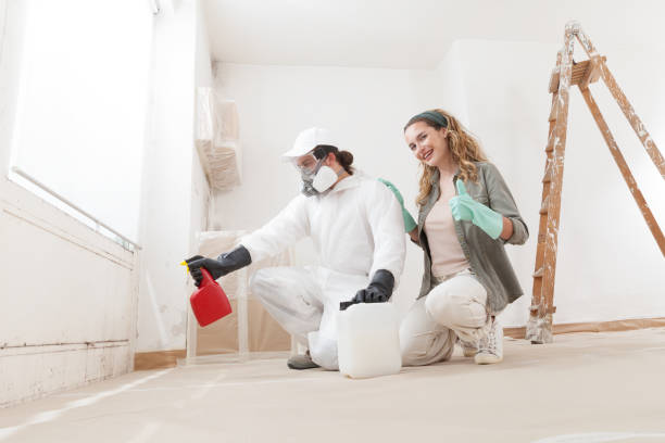 Best Attic Mold Removal  in Janesville, IA