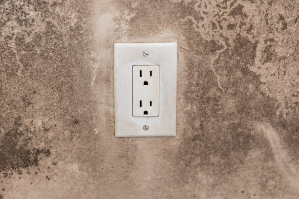 Best HVAC Mold Inspection and Cleaning  in Janesville, IA