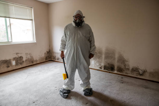 Best Crawl Space Mold Remediation  in Janesville, IA